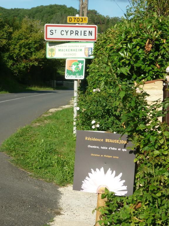 Residence Beausejour Saint-Cyprien  Værelse billede